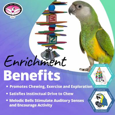 Show full view: Super Bird Creations ABC Spoon Stack Bird Toy slide 3 of 7