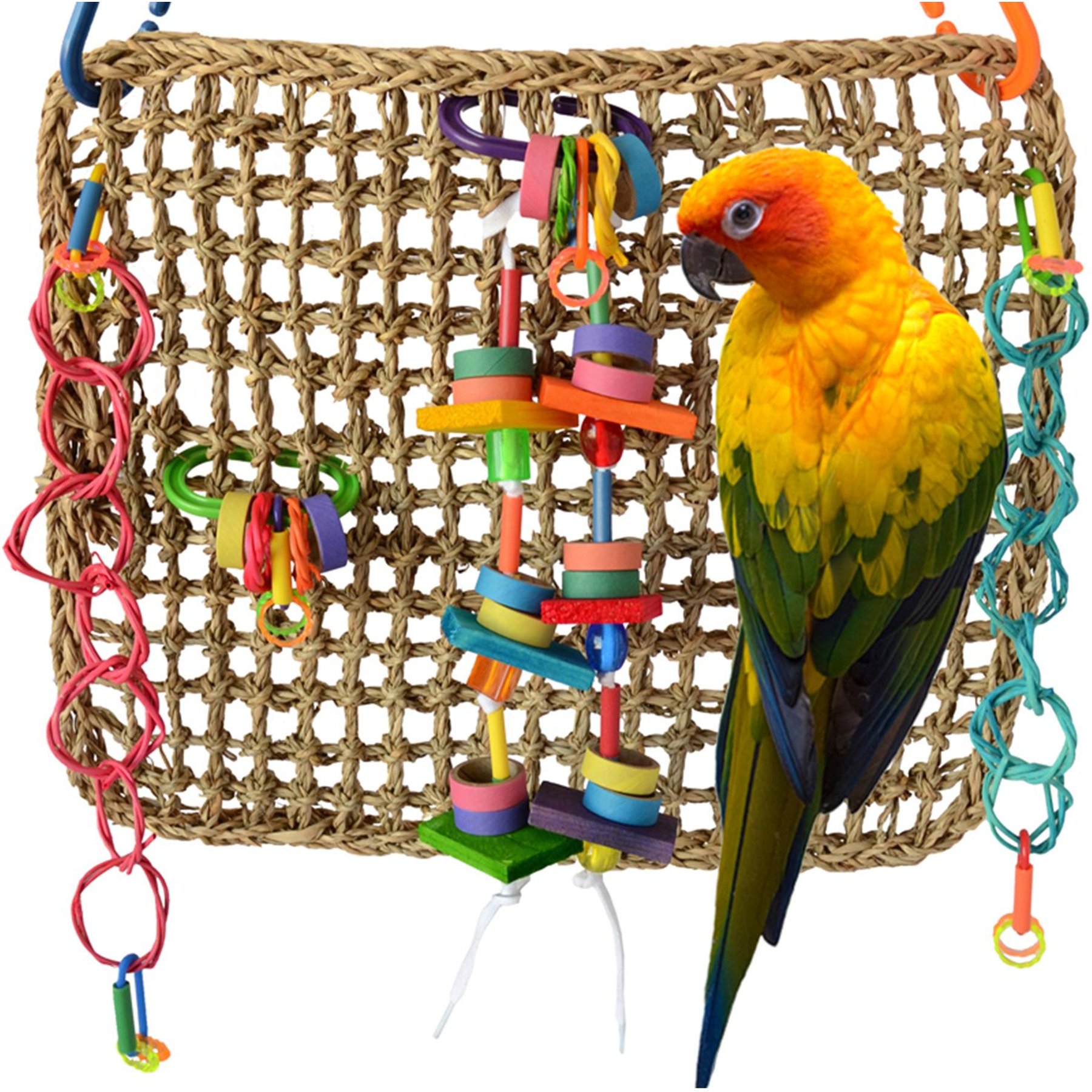 SUPER BIRD CREATIONS Activity Wall Bird Toy, Medium - Chewy.com