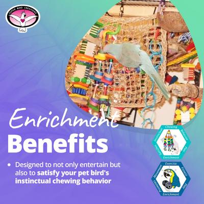 Show full view: Super Bird Creations Activity Wall Bird Toy, Medium slide 4 of 10