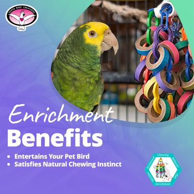 Show full view: Super Bird Creations Bagel Cascade Bird Toy, Large slide 4 of 10