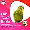 Show in main carousel: Super Bird Creations Balsa Munch Bird Toy, Small slide 5 of 10