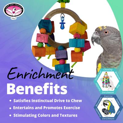 Show full view: Super Bird Creations Balsa Rainbow Ring Bird Toy slide 3 of 8