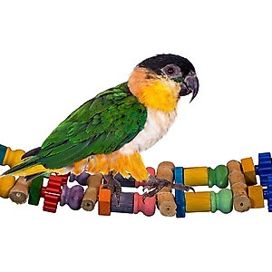 Super Bird Creations Bamboo Bridge Bird Toy