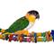 Show in main carousel: Super Bird Creations Bamboo Bridge Bird Toy slide 1 of 8