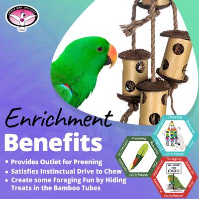 Show full view: Super Bird Creations Bamboo Climb & Forage Exercise Bird Toy slide 5 of 8