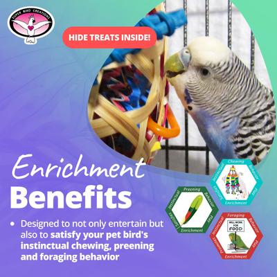 Show full view: Super Bird Creations Basket case Bird Toy slide 5 of 8