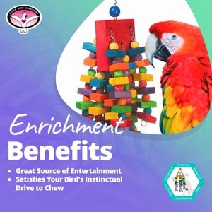 Super Bird Creations Beakasaurus Bird Toy, Large/X-Large