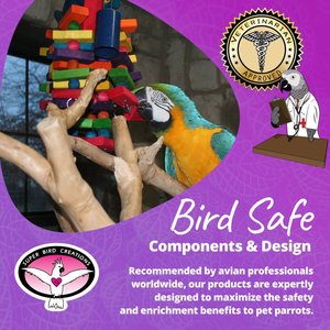 Super Bird Creations Beakasaurus Bird Toy, Large/X-Large