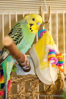 Show full view: Super Bird Creations Beaker Sneaker Bird Toy, Small/Medium slide 4 of 9