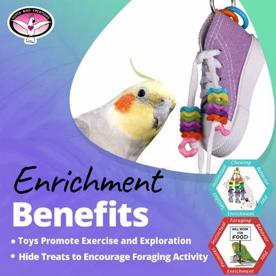 Show full view: Super Bird Creations Beaker Sneaker Bird Toy, Small/Medium slide 5 of 9