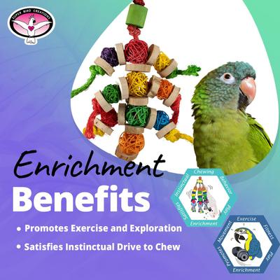 Show full view: Super Bird Creations Bingo Chips Bird Toy slide 3 of 7