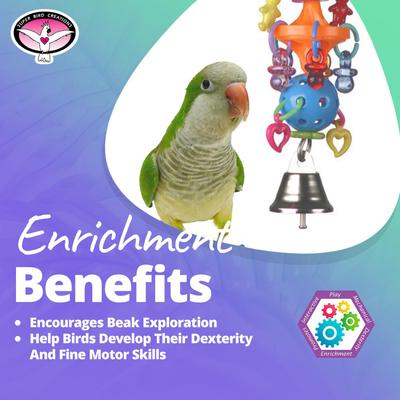 Show full view: Super Bird Creations Binky Bop Bird Toy slide 4 of 8