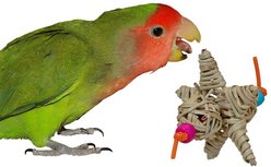 Super Bird Creations Bird Foot Toy Bundle, Small, 4 count slide 2 of 7