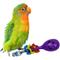 Show in main carousel: Super Bird Creations Bird Foot Toy Bundle, Small, 4 count slide 3 of 8