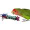 Show in main carousel: Super Bird Creations Bird Foot Toy Bundle, Small, 4 count slide 5 of 8