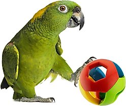 Super Bird Creations Birdie Ball Exercise Bird Toy, X-Large
