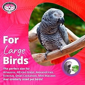Super Bird Creations Birdie Ball Exercise Bird Toy, X-Large