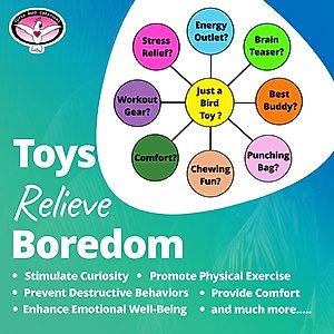Super Bird Creations Birdie Ball Exercise Bird Toy, X-Large