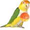 Show in main carousel: Super Bird Creations Birdie Balls Small & Medium Bird Toy, 4 count, Medium slide 1 of 6