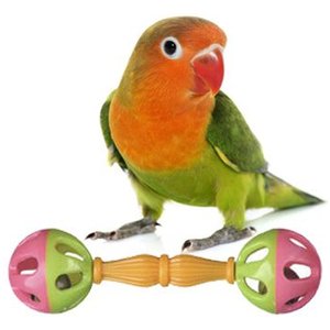 Super Bird Creations Birdie Barbell, Small/Medium, 3 count