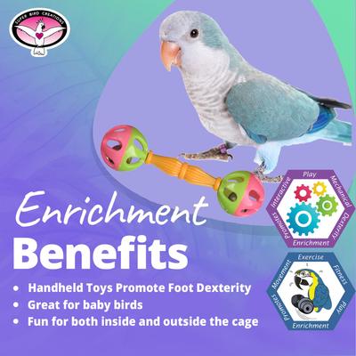 Show full view: Super Bird Creations Birdie Barbell, Small/Medium, 3 count slide 3 of 6