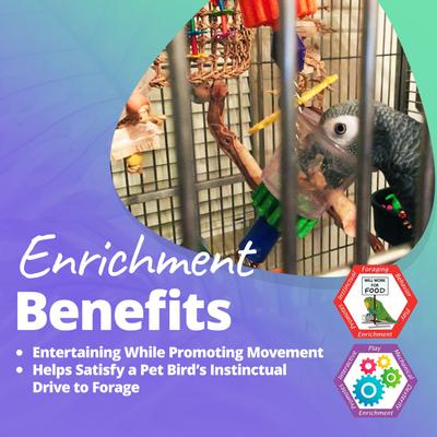 Show full view: Super Bird Creations Bottoms Up Bird Toy, Medium/Large slide 5 of 11