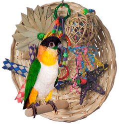 Super Bird Creations Busy Birdie Play Perch Bird Toy, Small/Medium