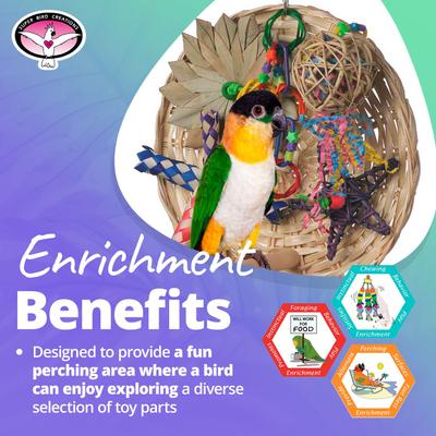 Show full view: Super Bird Creations Busy Birdie Play Perch Bird Toy, Small/Medium slide 5 of 11