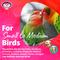 Show in main carousel: Super Bird Creations Busy Birdie Play Perch Bird Toy, Small/Medium slide 6 of 11