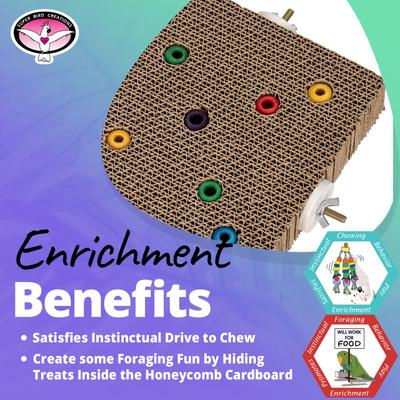 Show full view: Super Bird Creations Cardboard Treat Block Foraging Bird Toy, Large slide 4 of 7