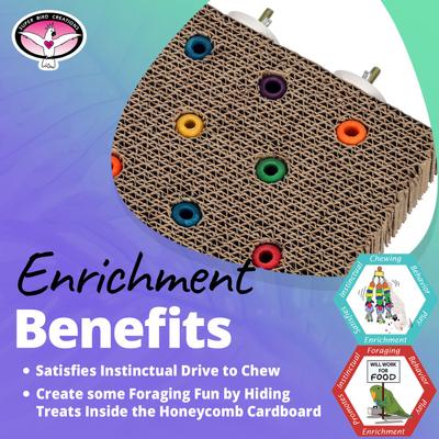 Show full view: Super Bird Creations Cardboard Treat Block Foraging Bird Toy, Medium slide 4 of 7