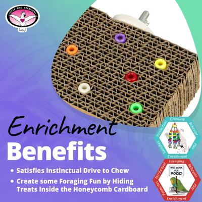 Show full view: Super Bird Creations Cardboard Treat Block Foraging Bird Toy, Small slide 4 of 7