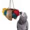 Show in main carousel: Super Bird Creations Coco Cornhusk Forager Bird Toy, Large slide 1 of 9