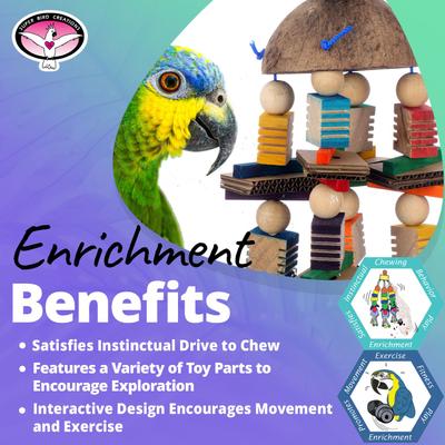 Show full view: Super Bird Creations Coconut Mobile Chewable Bird Toy slide 5 of 7