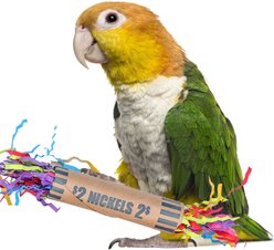 Super Bird Creations Coin Toss Chewable Bird Toy, 4 count