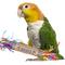 Show in main carousel: Super Bird Creations Coin Toss Chewable Bird Toy, 4 count slide 1 of 7
