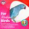 Show in main carousel: Super Bird Creations Coin Toss Chewable Bird Toy, 4 count slide 4 of 7
