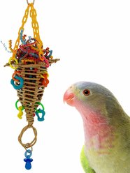 Super Bird Creations Crazy Cone Preening Bird Toy