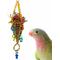 Show in main carousel: Super Bird Creations Crazy Cone Preening Bird Toy slide 1 of 7