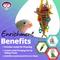 Show in main carousel: Super Bird Creations Crazy Cone Preening Bird Toy slide 5 of 7