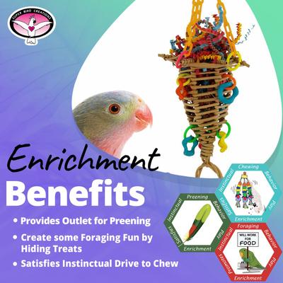 Show full view: Super Bird Creations Crazy Cone Preening Bird Toy slide 5 of 7