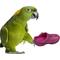 Show in main carousel: Super Bird Creations Crocs Bird Toy, 5 count slide 2 of 7