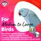 Show in main carousel: Super Bird Creations Crocs Bird Toy, 5 count slide 5 of 7