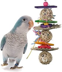 Super Bird Creations Crunch & Munch Bird Toy