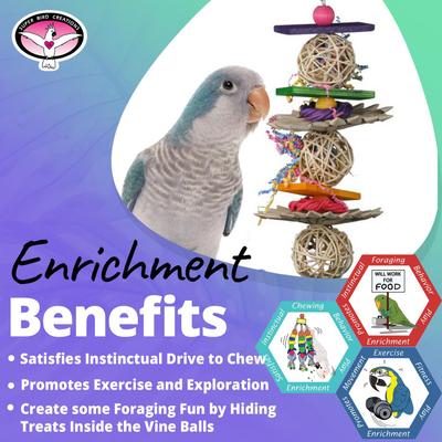 Show full view: Super Bird Creations Crunch & Munch Bird Toy slide 3 of 7