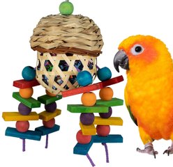 Super Bird Creations Crunch Time Conure Preening Toy