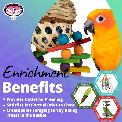 Show full view: Super Bird Creations Crunch Time Conure Preening Toy slide 5 of 7