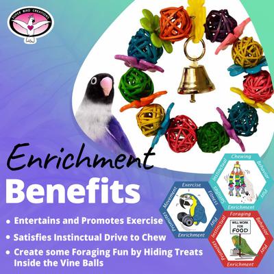 Show full view: Super Bird Creations Daisy Ring Bird Toy, Small slide 4 of 10