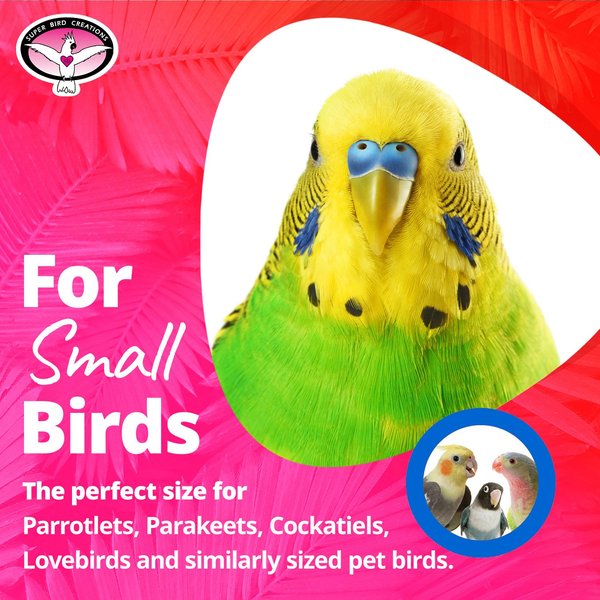 Show full view: Super Bird Creations Daisy Ring Bird Toy, Small slide 5 of 10