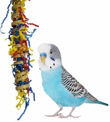 Super Bird Creations Fiesta Millet Holder Bird Toy, Small/Medium